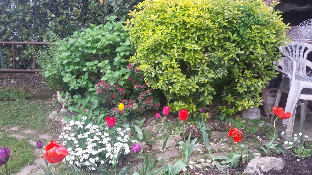B&B Il Patio Μπέργκαμο Εξωτερικό φωτογραφία